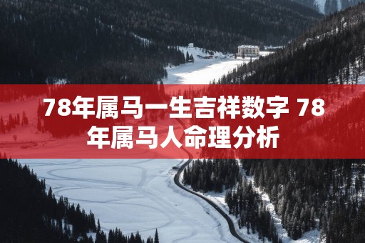 78年属马一生吉祥数字 78年属马人命理分析