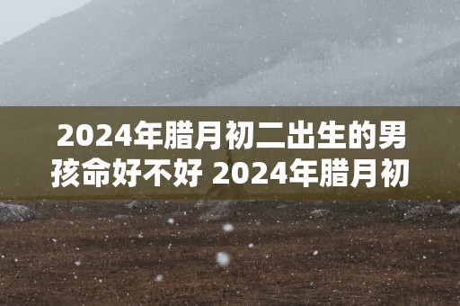 2024年腊月初二出生的男孩命好不好 2024年腊月初二男孩的命运