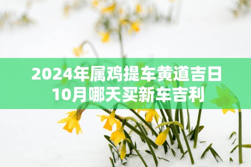 2024年属鸡提车黄道吉日 10月哪天买新车吉利