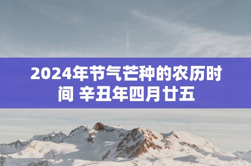 2024年节气芒种的农历时间 辛丑年四月廿五