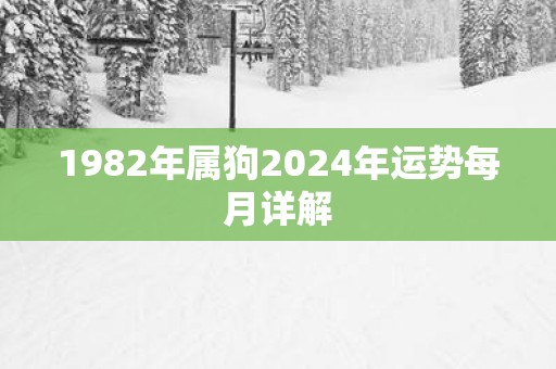 1982年属狗2024年运势每月详解