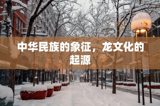 中华民族的象征，龙文化的起源