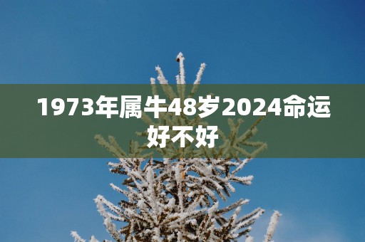 1973年属牛48岁2025命运好不好