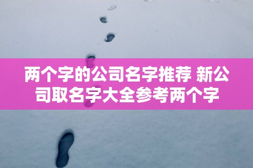两个字的公司名字推荐 新公司取名字大全参考两个字