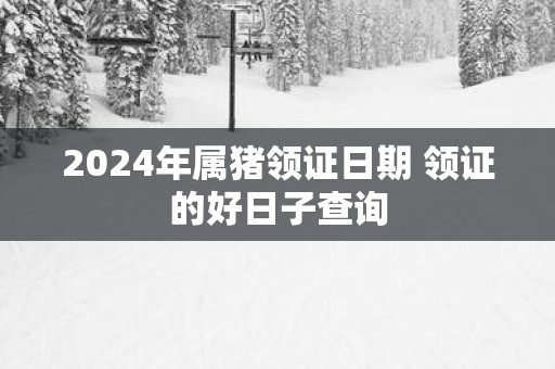 2024年属猪领证日期 领证的好日子查询