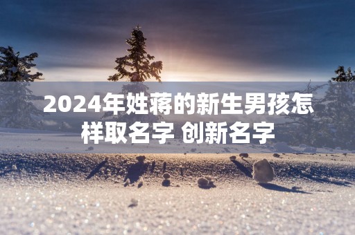 2025年姓蒋的新生男孩怎样取名字 创新名字