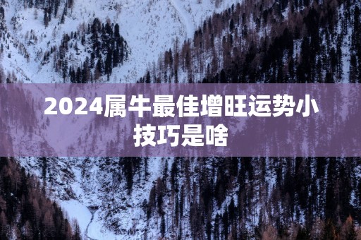 2025属牛最佳增旺运势小技巧是啥