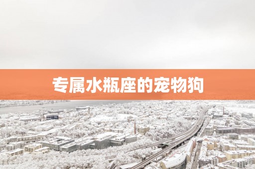 专属水瓶座的宠物狗