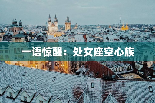 一语惊醒：处女座空心族
