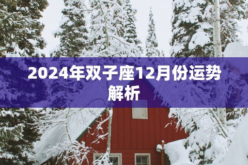 2025年双子座12月份运势解析