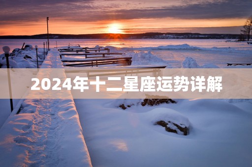 2025年十二星座运势详解