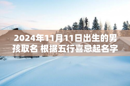 2025年11月11日出生的男孩取名 根据五行喜忌起名字
