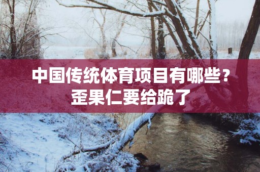中国传统体育项目有哪些？歪果仁要给跪了