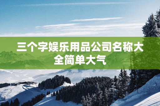 三个字娱乐用品公司名称大全简单大气