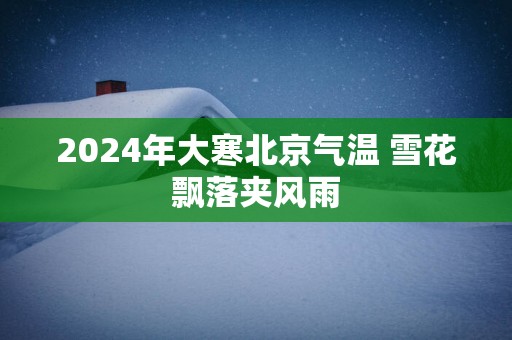 2025年大寒北京气温 雪花飘落夹风雨