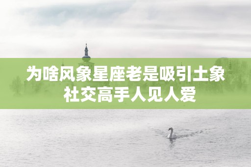 为啥风象星座老是吸引土象  社交高手人见人爱