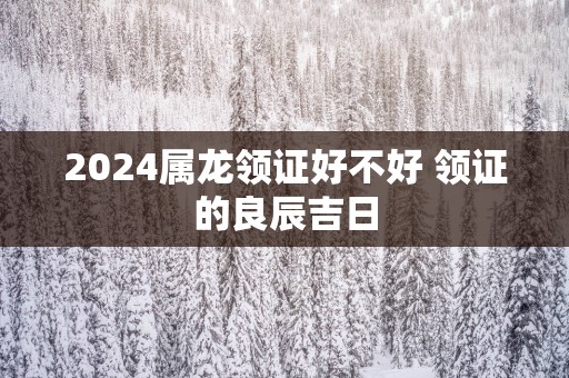 2025属龙领证好不好 领证的良辰吉日