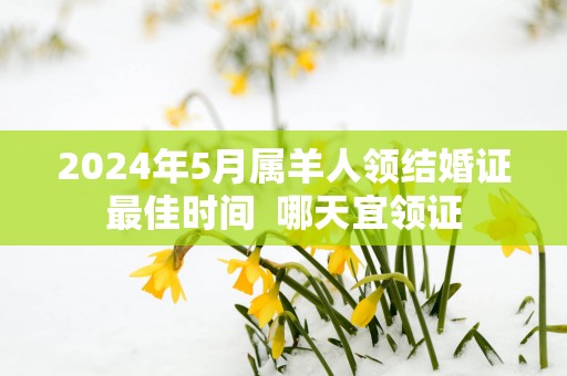 2025年5月属羊人领结婚证最佳时间  哪天宜领证