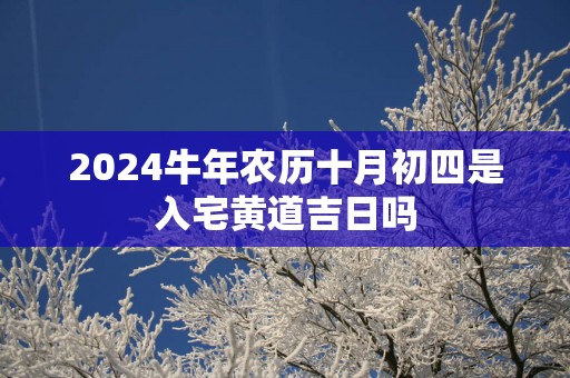2025蛇年农历十月初四是入宅黄道吉日吗
