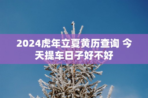2025蛇年立夏黄历查询 今天提车日子好不好