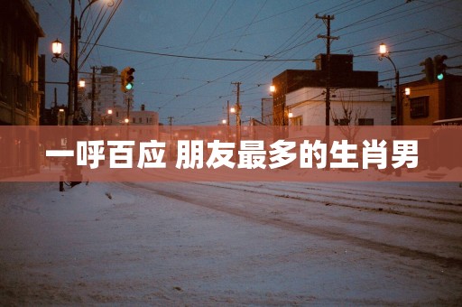 一呼百应 朋友最多的生肖男