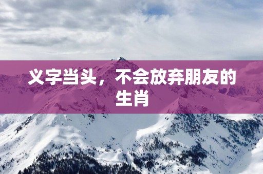 义字当头，不会放弃朋友的生肖
