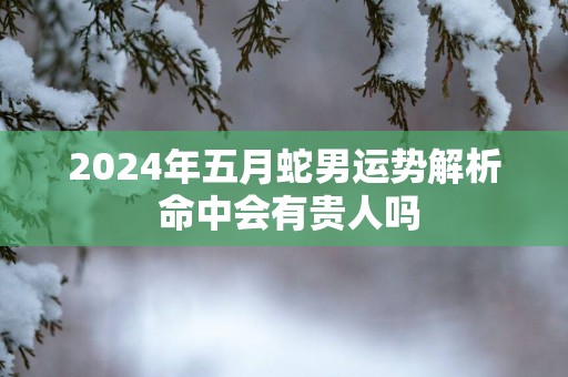 2025年五月蛇男运势解析 命中会有贵人吗