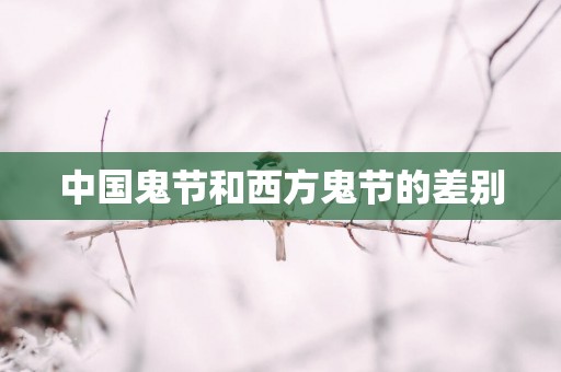 中国鬼节和西方鬼节的差别