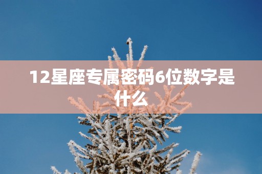 12星座专属密码6位数字是什么