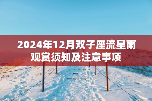 2025年12月双子座流星雨观赏须知及注意事项
