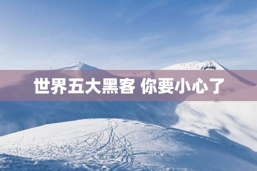 世界五大黑客 你要小心了