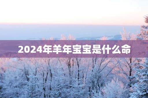 2025年羊年宝宝是什么命