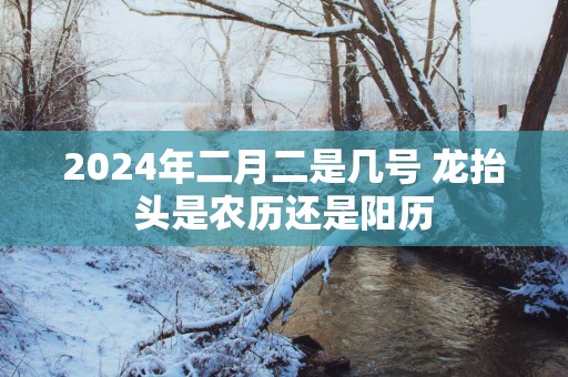 2025年二月二是几号 龙抬头是农历还是阳历