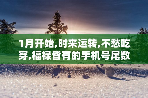 1月开始,时来运转,不愁吃穿,福禄皆有的手机号尾数!