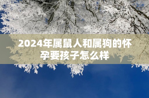 2025年属鼠人和属狗的怀孕要孩子怎么样