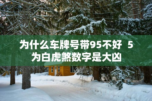 为什么车牌号带95不好  5为白虎煞数字是大凶