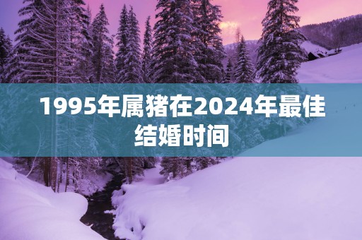 1995年属猪在2025年最佳结婚时间