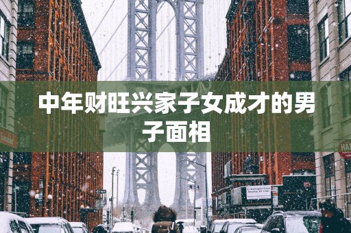 中年财旺兴家子女成才的男子面相