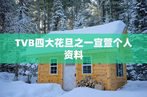 TVB四大花旦之一宣萱个人资料