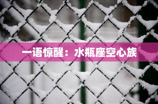 一语惊醒：水瓶座空心族