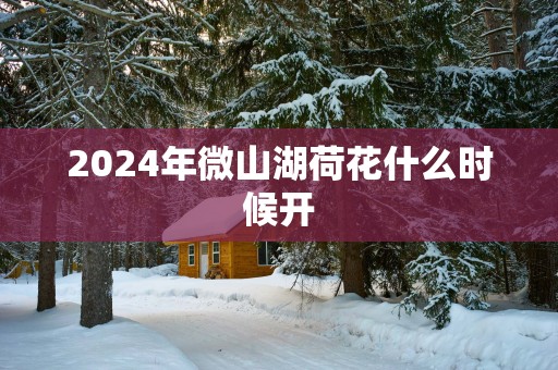 2025年微山湖荷花什么时候开