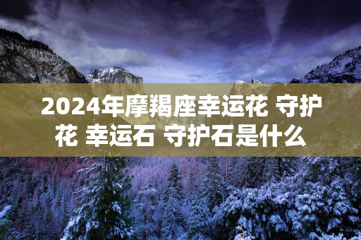 2025年摩羯座幸运花 守护花 幸运石 守护石是什么