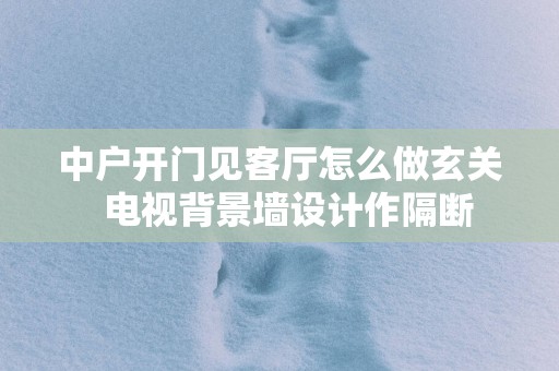 中户开门见客厅怎么做玄关  电视背景墙设计作隔断