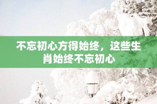 不忘初心方得始终，这些生肖始终不忘初心