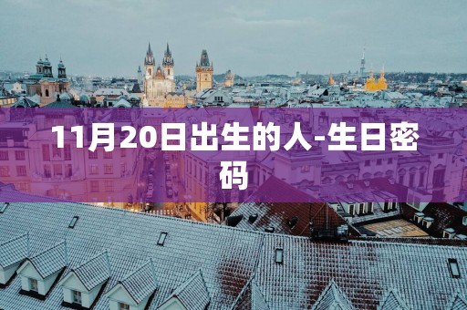 11月20日出生的人-生日密码