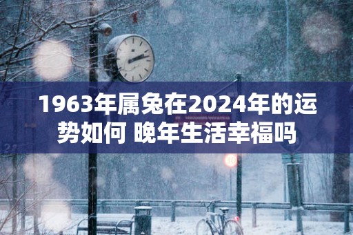1963年属兔在2025年的运势如何 晚年生活幸福吗