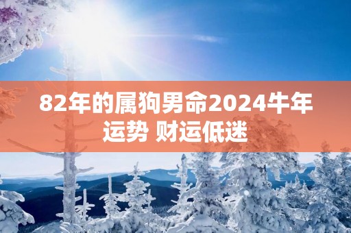 82年的属狗男命2025蛇年运势 财运低迷