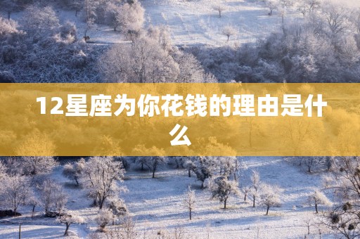 12星座为你花钱的理由是什么