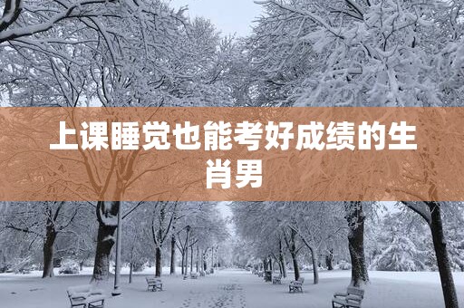 上课睡觉也能考好成绩的生肖男