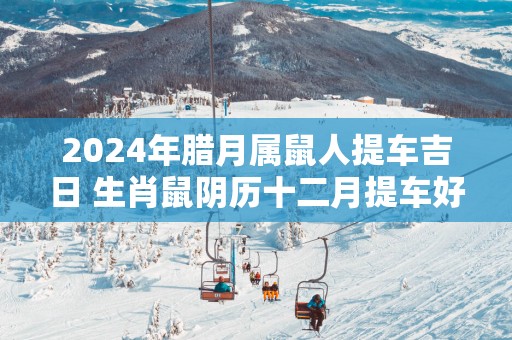 2025年腊月属鼠人提车吉日 生肖鼠阴历十二月提车好日子